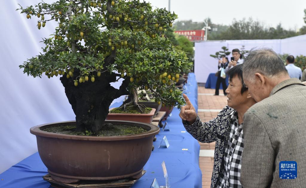 白菜网注册领体验金
